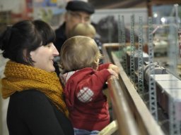 HERBSTAUSSTELLUNG 2012