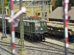 HERBSTAUSSTELLUNG 2012