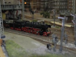 Herbstausstellung 2012