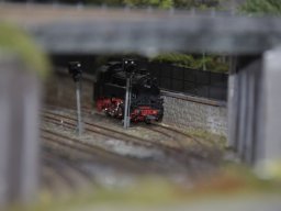 Herbstausstellung 2012