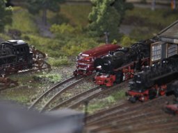 Herbstausstellung 2012