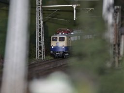 Herbstausstellung 2012