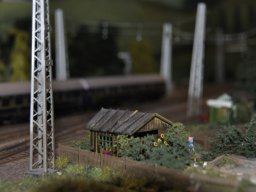 Herbstausstellung 2012