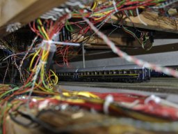 Herbstausstellung 2012