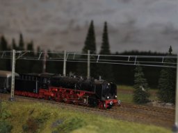 Herbstausstellung 2012